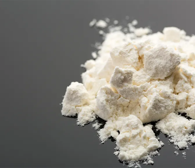 Hydrolyzed Rice Protein