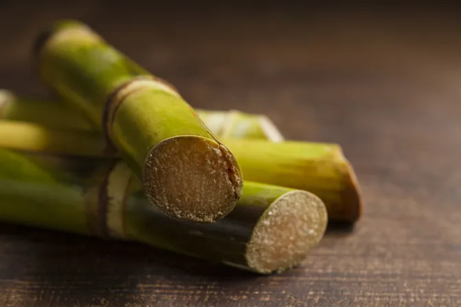 Sugarcane Squalane